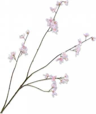Produktbild von Silk-ka Kunstblume-Seidenblumen-Blütenzweig Rosa 114 cm
