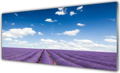 Produktbild von Glasbilder 125x50 Wandbild Druck auf Glas Wiese Blumen Natur