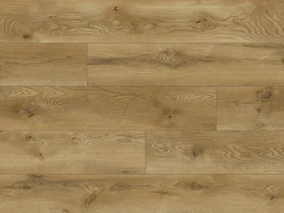 Zdjęcie produktu dla Panele podłogowe Dąb Havana 8 mm AC5, 66724