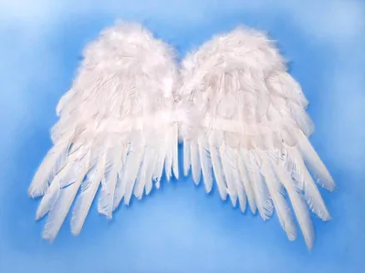 Immagine prodotto di Ali d'angelo, selezione:SK1-008 53cm x 37cm bianco