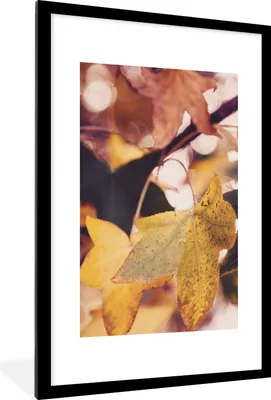 Produktbild von MuchoWow® Gerahmtes Poster Blätter - Ahorn - Herbst - Jahreszeiten 60x90 cm - Poster mit Schwarzem Bilderrahmen Wandposter Rahmen Foto Bilder - Dekoration - Wandposter Wohnzimmer - Hochwertig