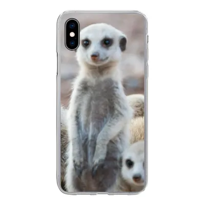 Produktbild von MuchoWow® Handyhülle Schutzhülle Hülle für iPhone Xs Neugierige Erdmännchen Silikon Softcase Handy Hülle - Handytasche