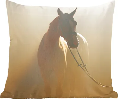 Produktbild von MuchoWow® Zierkissen Sofakissen Wohnzimmer Dekokissen 45x45 cm Pferd - Licht - Sand - Schlafpolster - Polster für das Sofa