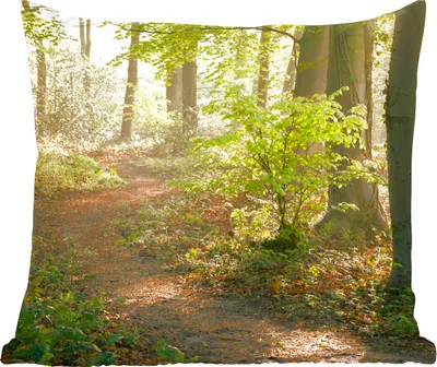 Produktbild von MuchoWow® Zierkissen Sofakissen Wohnzimmer Dekokissen 45x45 cm Wald - Bäume - Weg - Sonne - Pflanzen - Laub - Natur - Schlafpolster - Polster für das Sofa