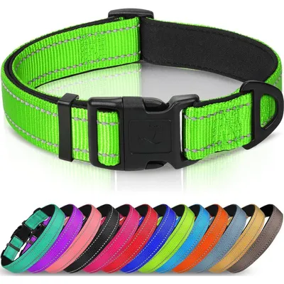 Produktbild von Hundehalsband Gepolstert Neopren Nylon Verstellbar Reflektierend Grün S