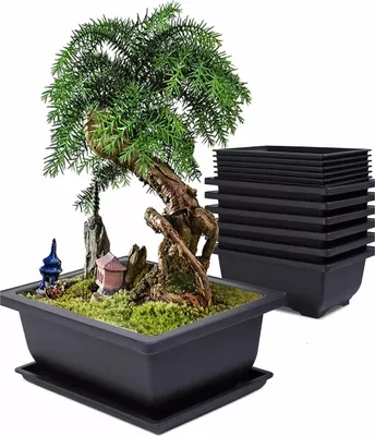 Produktbild von 6 Stück Bonsai-Keimset, Pflanztöpfe mit Tablett, wiederverwendbare Bonsaischale mit Untersetzern, Kunststoff-Bonsaitöpfe, Pflanztopf, für Garten, Wohnzimmer, Fensterbänke, Terrassen, 10 x 10 cm