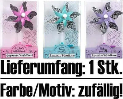 Produktbild von Niyt Inspiration Pusteblume Z. Anklipsen