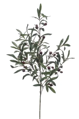 Produktbild von künstlicher Olivenzweig XXL H. 100cm grün braun Emerald Kunstblumen