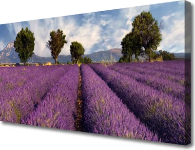 Produktbild von Tulup Leinwand-Bilder 100x50 Wandbild Canvas Kunstdruck Wiese Bäume Natur
