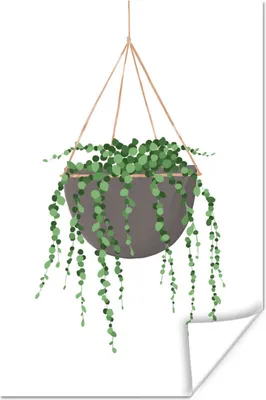 Produktbild von MuchoWow® Poster Pflanzen - Hängender Blumentopf - Zimmerpflanzen 60x90 cm - Wanddekoration