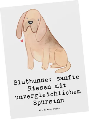 Produktbild von Mr. & Mrs. Panda Grußkarte Bluthunde - Weiß - Geschenk, Hundezucht, einzelkarte, Ansichtskarte, Bloodhound, Abenteuer, Kunstkarten, Postkarte, Hund, Postkarten