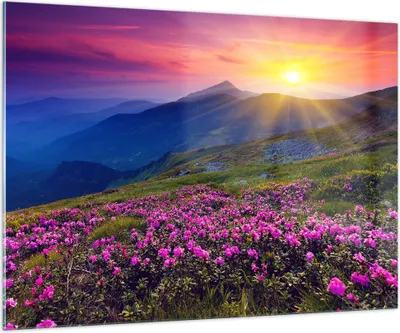 Produktbild von Bilder auf glas - Wiese Berge Landschaft - 100x70cm - Glasbilder - Wandbilder - Kunstdruck - zum Aufhängen bereit - Wanddekoration aus Glas - Glas Bilder - Wandbild auf Glas - GAA100x70-2676