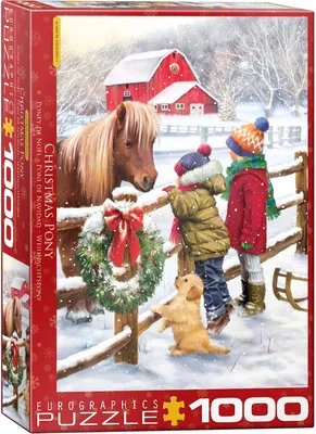 Produktbild von Christmas Pony by Simon Treadwell