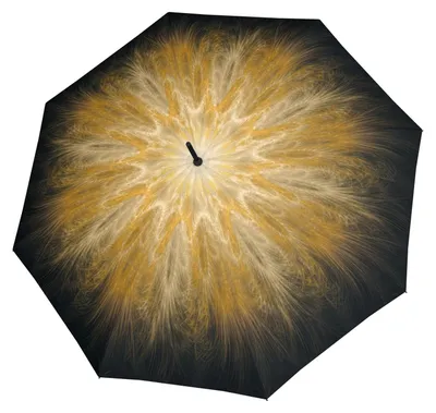 Image de doppler parapluie canne parapluie Fiber Flex Long AC Imperial Golden Feather multicolore