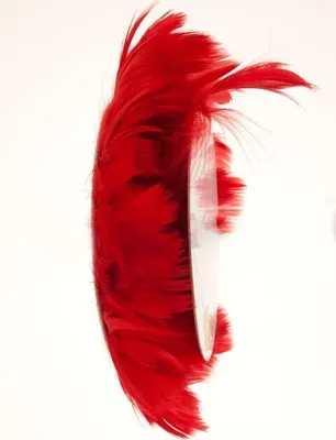 Produktbild von Deko Federn am Draht 10m 16 Farben zur Auswahl , Farbe:Rot