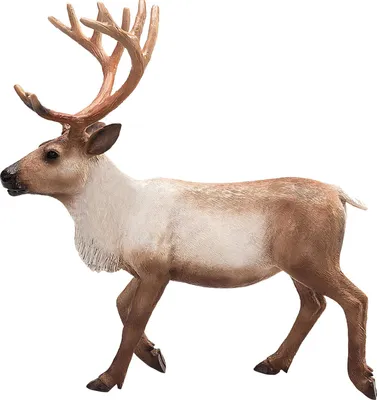 Obrázok produktu pre Mojo Fun Reindeer, 3 rok / roky, Wildlife, Hnedá, Polyvinylchlorid (PVC)