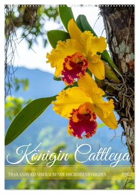 Produktbild von Königin Cattleya (Wandkalender 2027 DIN A2 hoch), CALVENDO Monatskalender