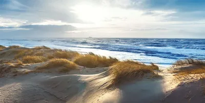 Produktbild von Leinwandbild Strand - ca. 50 x 100cm