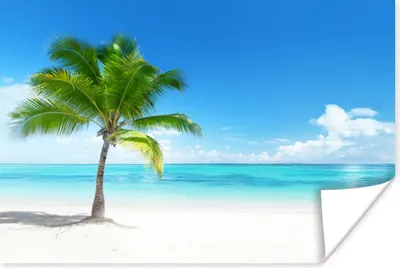 Produktbild von MuchoWow® Poster Palme - Strand - Meer - Sommer 90x60 cm - Schlafzimmer