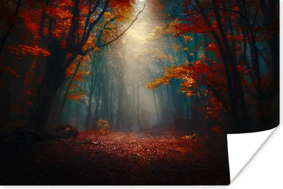 Produktbild von MuchoWow® Poster Herbst - Laub - Sonne 60x40 cm - Schlafzimmerdekoration