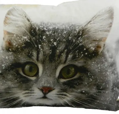 Image de Coussin avec housse « Chat » 35 x 50 cm, rembourrage inclus