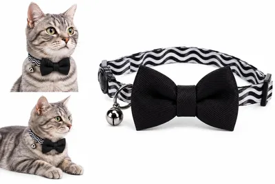 Productafbeelding van Flamingo kattenhalsband met strik, kleur: zwart