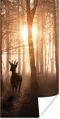 Produktbild von MuchoWow® Poster Wald - Hirsche - Sonne - Bäume - Winter - Natur - Tiere 60x120 cm - Wandschmuck