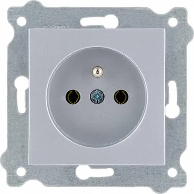 Image de Prise de terre (Type E) Argent 241/10E EXEN