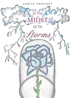 Produktbild von In The Midst Of The Storms