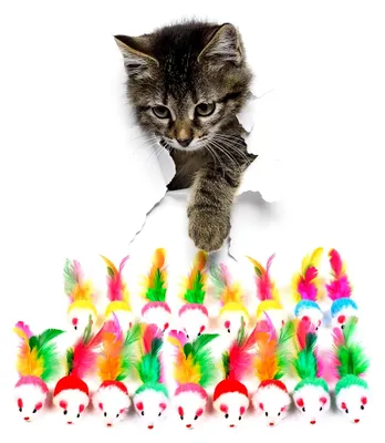 Produktbild von Katzenspielzeug zur Selbstbeschäftigung (17 Stück) – Interaktives Set mit Katzenminze und Federn – Sichere Plüschmäuse für Kätzchen und Wohnungskatzen