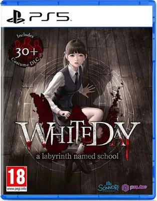 Zdjęcie produktu dla PQube White Day : A Labyrinth named school, PlayStation 5, Powyżej 13 lat