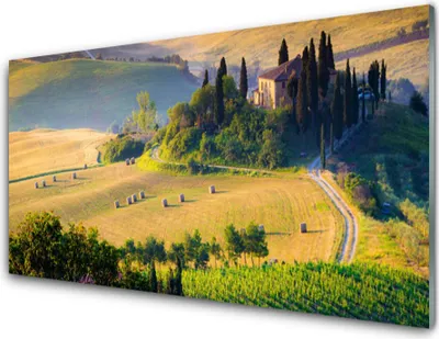 Produktbild von Acrylglasbilder 100x50 Wandbild Druck Acker Bäume Landschaft