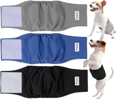 Produktbild von Waschbare Hundenwindeln für Rüden - Superabsorbierende und Wasserdichte Windeln für Welpen und Erwachsene Hunde