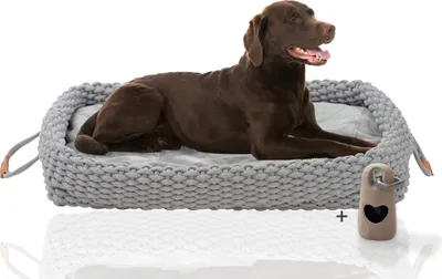 Produktbild von Rohrschneider Flauschiges Katzen- und Hundebett | Weiches Tierbett für Katzen und Hunde | Katzenkörbchen Hundkorb waschbar | Gemütlicher Schlafplatz für Haustiere | Flauschige waschbare Kissen, Größe:L