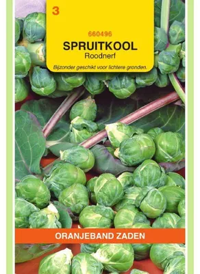 Imagen del producto de Oranjeband: Coliflor roja (Rosenkohl Roodnerf) - 1 paquete de semillas