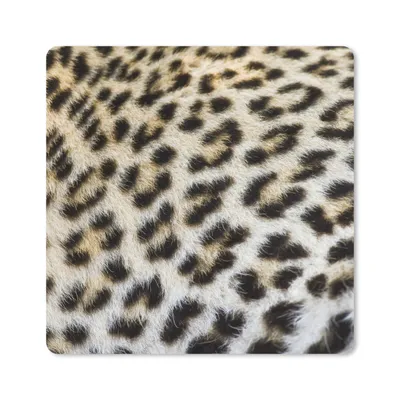 Produktbild von MuchoWow® Mauspad Mousepad Nahaufnahme Mantel Leopard 20x20 cm - Mousepads - Maus Mat - Pad - Mausunterlage - Desk Mat - Bureauartikeln