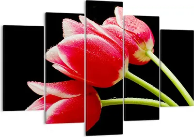 Produktbild von Bild auf Leinwand - Leinwandbild - Tulpe garten blume blumenstrauß - 150x100cm - Wand Bild - Wanddeko - Leinwanddruck - Bilder - Kunstdruck - Leinwand bilder - Wandkunst - EA150x100-1494