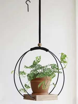 Image de Supports à plantes en bois noir pour l'intérieur