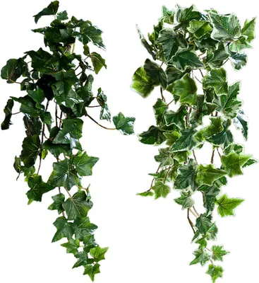 Immagine prodotto di Tendini di edera fiori artificiali piante artificiali da appendere 1 pz 45 cm - 2 colori, 5_colore:verde