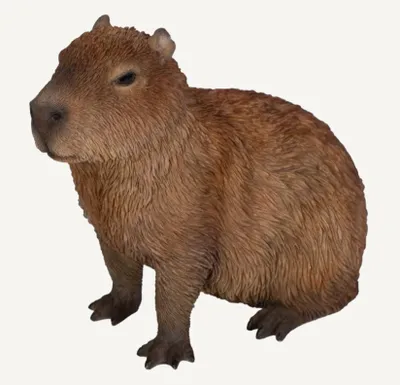 Image de Ornement de capybara - PP-CAPY-F