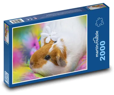 Obrázek produktu pro Puzzle 2000 Morče s Květinou v Srsti - martinpuzzle