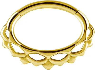 Produktbild von Karisma Edelstahl 316L Hinged Septum/Daith Clicker Ring Ohrring Nase 6mm Stablänge - Silber