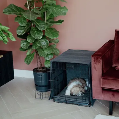 Immagine prodotto di DISTRICT70 copertura cassa per cani grigio scuro L