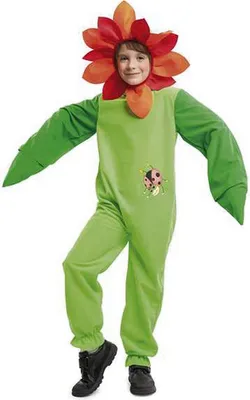 Obrázek produktu pro Převlek pro děti My Other Me ladybird - 3-4 roky