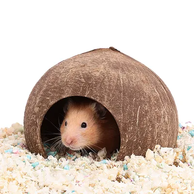 Produktbild von Versteckhaus Aus Kokosnussschalen Für Hamster, Einsiedlerkrebse, Reptilien, Igel, Meerschweinchen, Natürliche Lebensraumkäfigdekoration