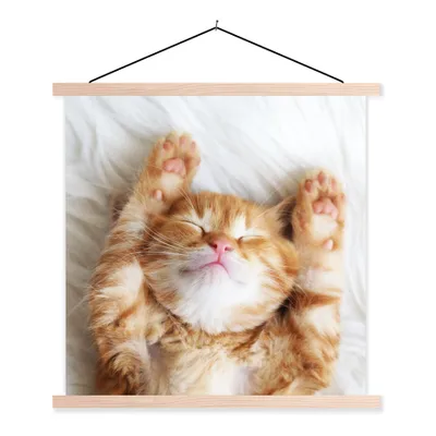 Produktbild von MuchoWow® Textilposter Katze - Rot - Haustiere - Kätzchen 40x40 cm mit holzfarbenen Rahmen - Posterleiste
