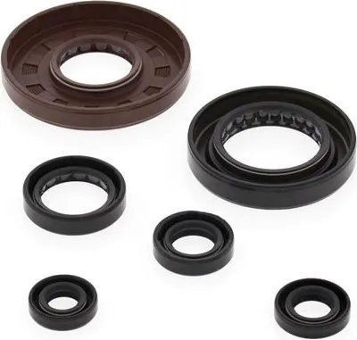 Obrázek produktu pro Sada motorových těsnění WINDEROSA W822276
