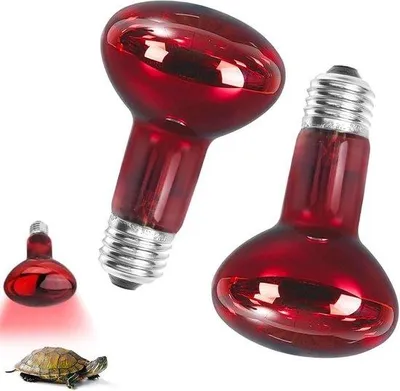 Image de Deux lampes chauffantes infrarouges rouges pour terrariums, d'une puissance de 100 watts, destinées aux lézards, tortues, serpents et phalanges.