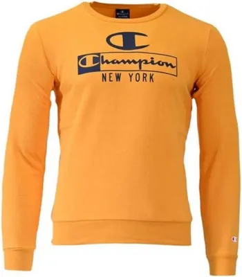 Produktbild von Sweatshirts Champion 306172YS113