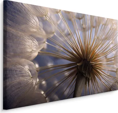 Produktbild von Fabelhafte Canvas LEINWAND BILDER 120x80 cm XXL Kunstdruck Natur Blumen Pusteblume